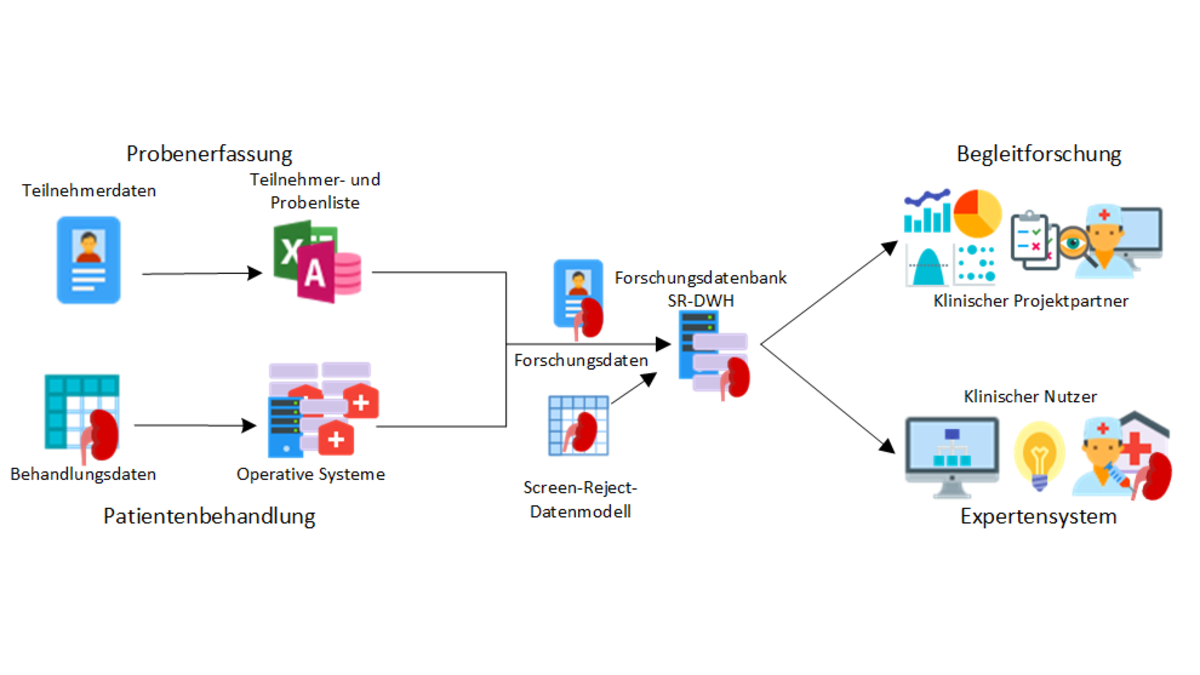 Prozesskette zur Beschreibung der Datenerfassung von Nierentransplantationspatienten