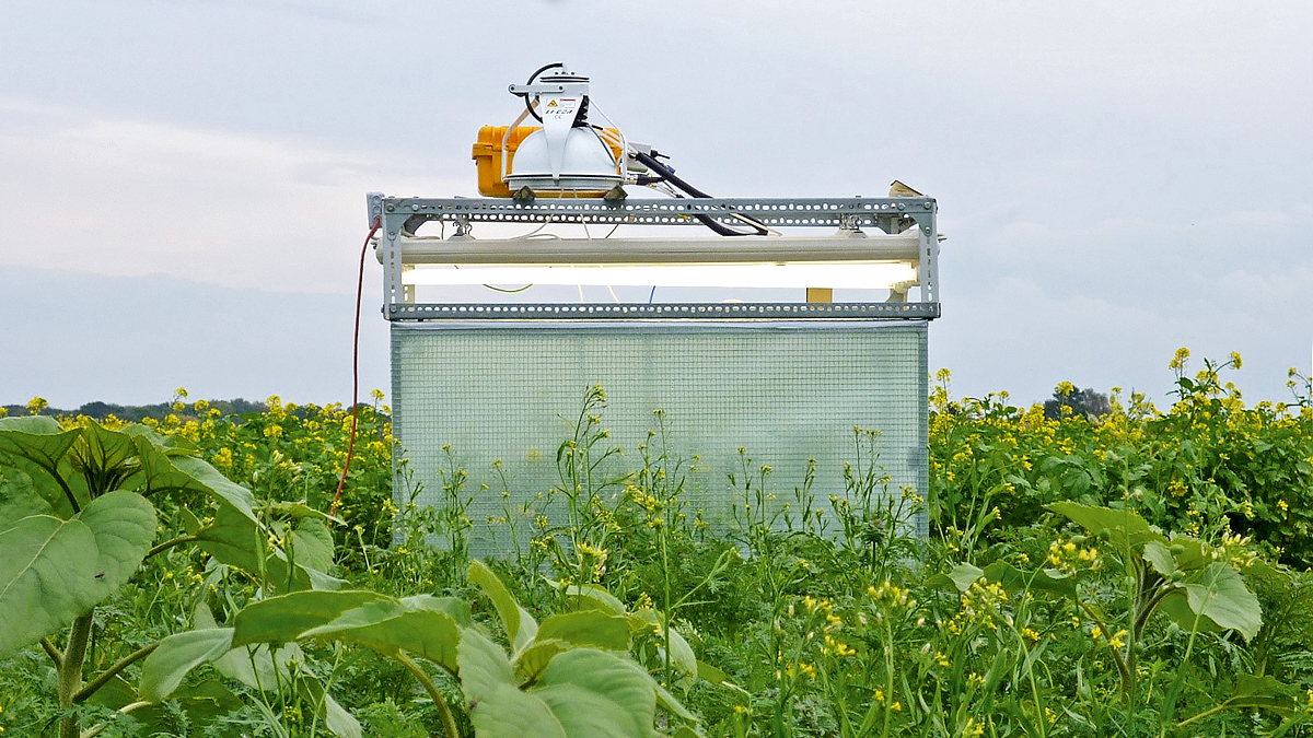 Eine Messapparatur steht auf einem Feld mit verschiedenen Grünpflanzen.