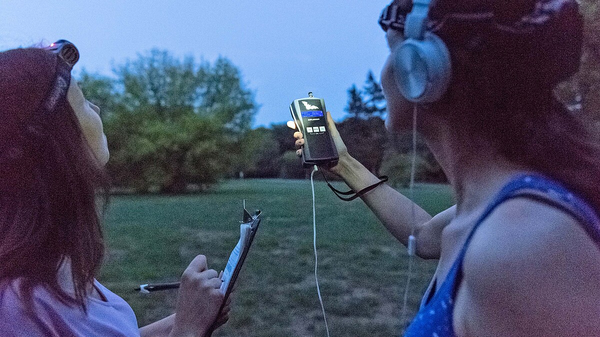 Zwei Frauen stehen im Park mit Detektor, Kopfhörern und Liste und schauen suchend in den Abendhimmel.