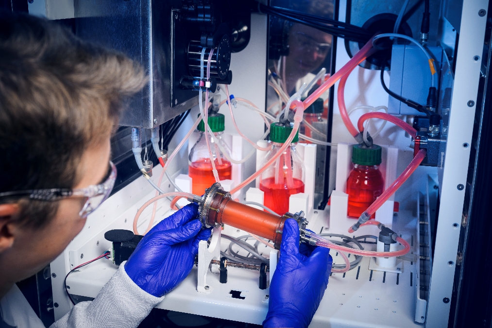 Eine Person mit Laborhandschuhen und Schutzbrille hält das zylinderförmige Bioreaktorgehäuse in Händen, das rote Flüssigkeit enthält. Der Zylinder ist über Schläuche an weitere Gefäße mit Mediumvorrat und an technische Geräte wie etwa Pumpen angeschlossen.